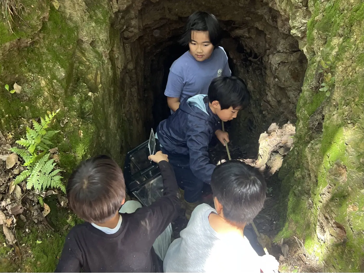 苔がたくさん生えた洞窟の中を探検している子供達の様子