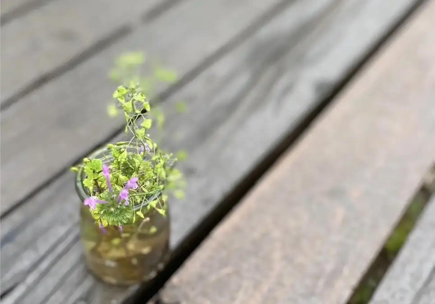 スタッフ紹介へリンクする